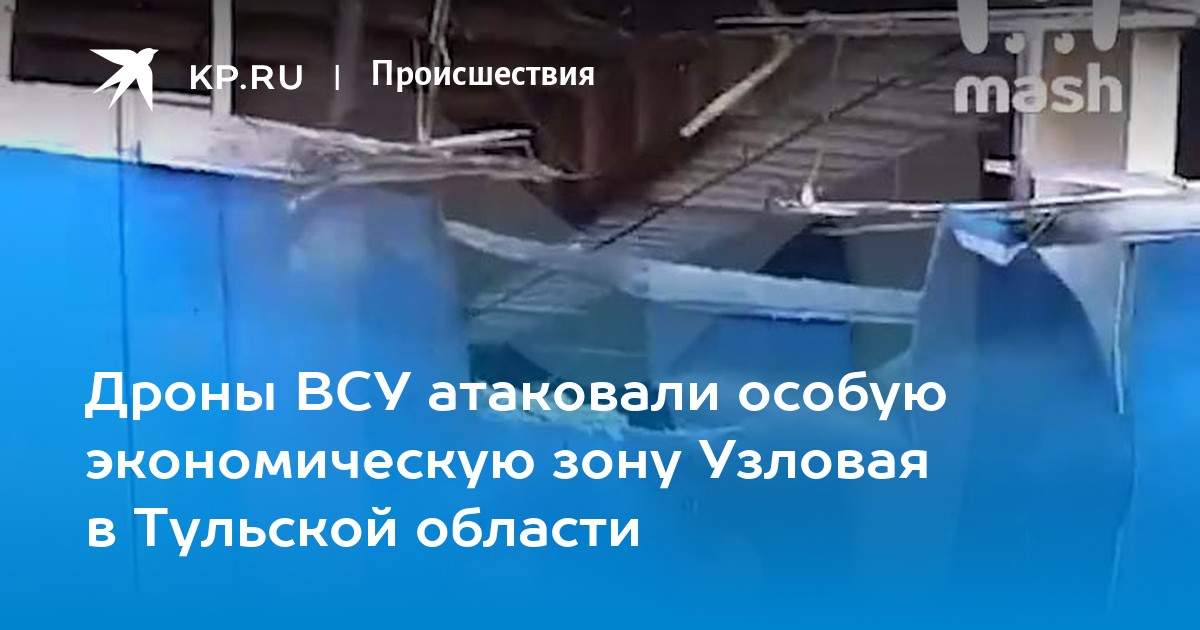 Приставы узловая тульская область. Приставы узловая тульская область. Приставы узловая тульская область. Попкова пристав узловая. Приставы узловая тульская область.