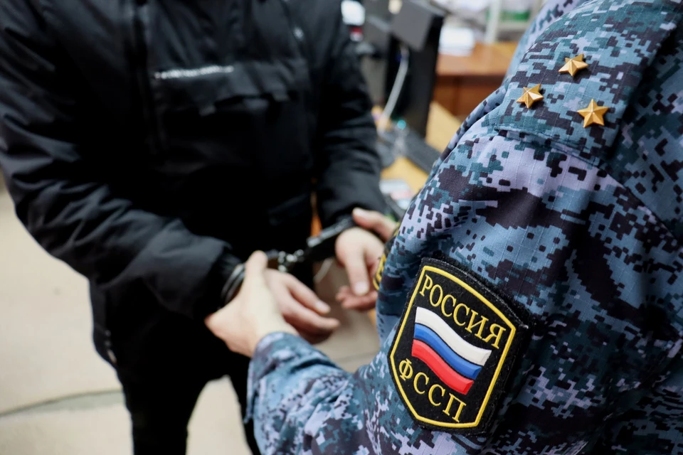 За прошедшую неделю 35 нелегальных мигрантов препроводили до пункта пропуска через государственную границу.