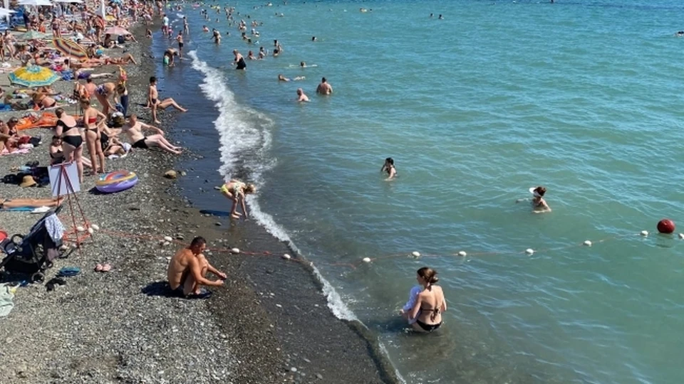 Вода в Черном море стала теплее, считают исследователи