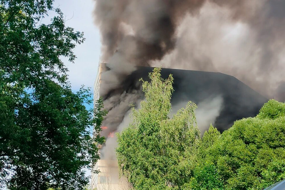 Крупный пожар в бывшем НИИ «Платан» унес жизни нескольких людей.