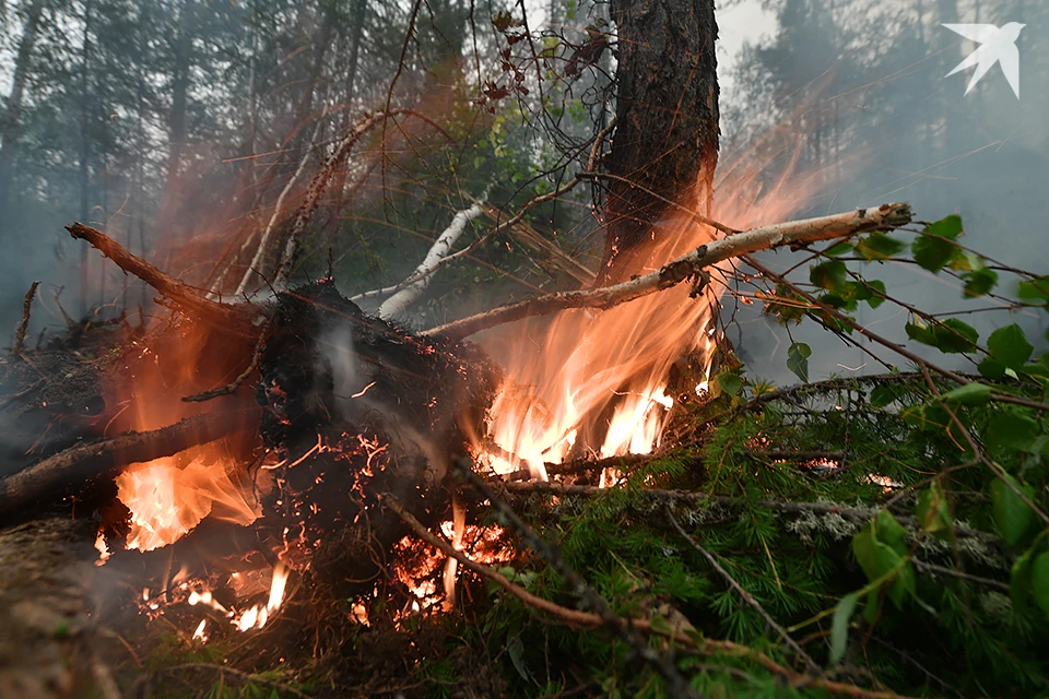17 июля воздух прогреется до +27 градусов, на крайнем севере будет до +23.
