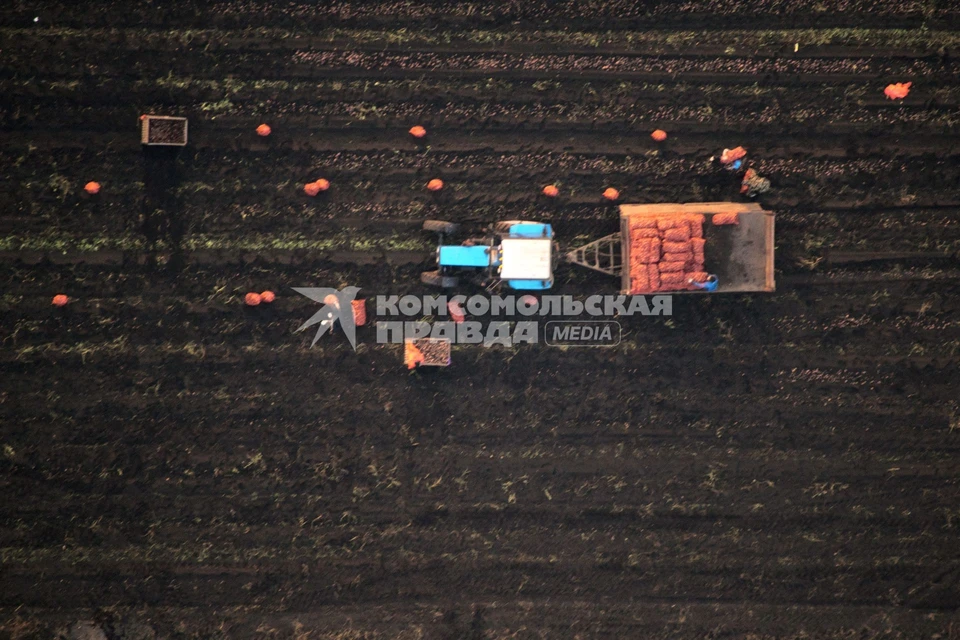 В Соль-Илецком округе провели пробную копку раннего картофеля