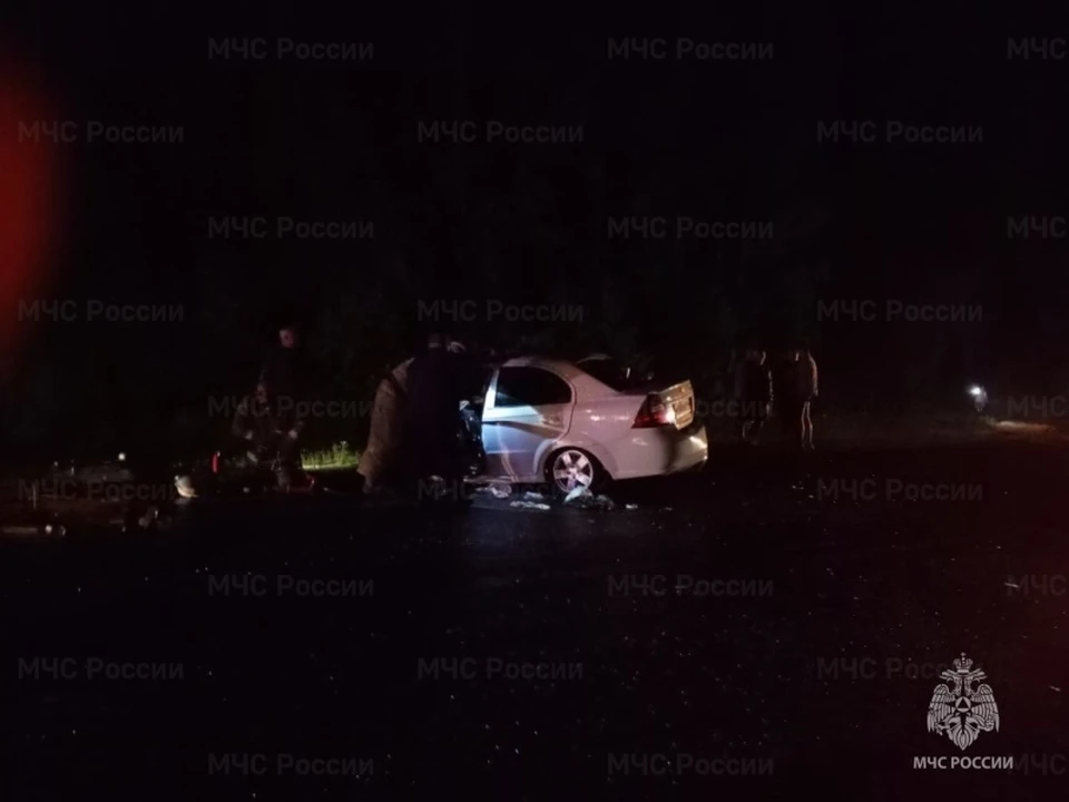 Фото: ГУ МЧС России по Костромской области