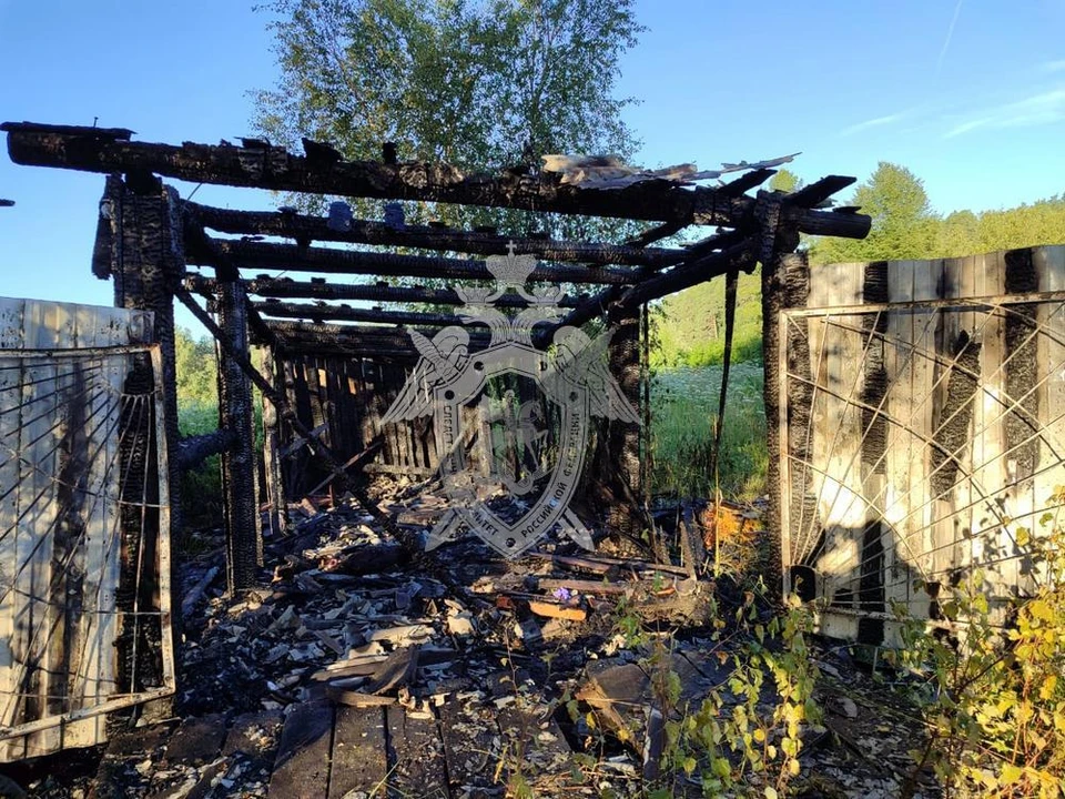 Фото: СУ СК России по Костромской области