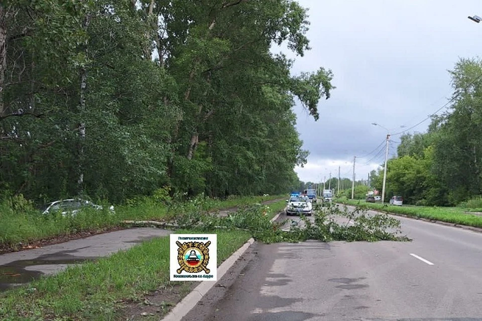 Водитель без прав влетел в дерево на «Хонде» в Хабаровском крае Фото: Госавтоинспекция УМВД России по Комсомольску
