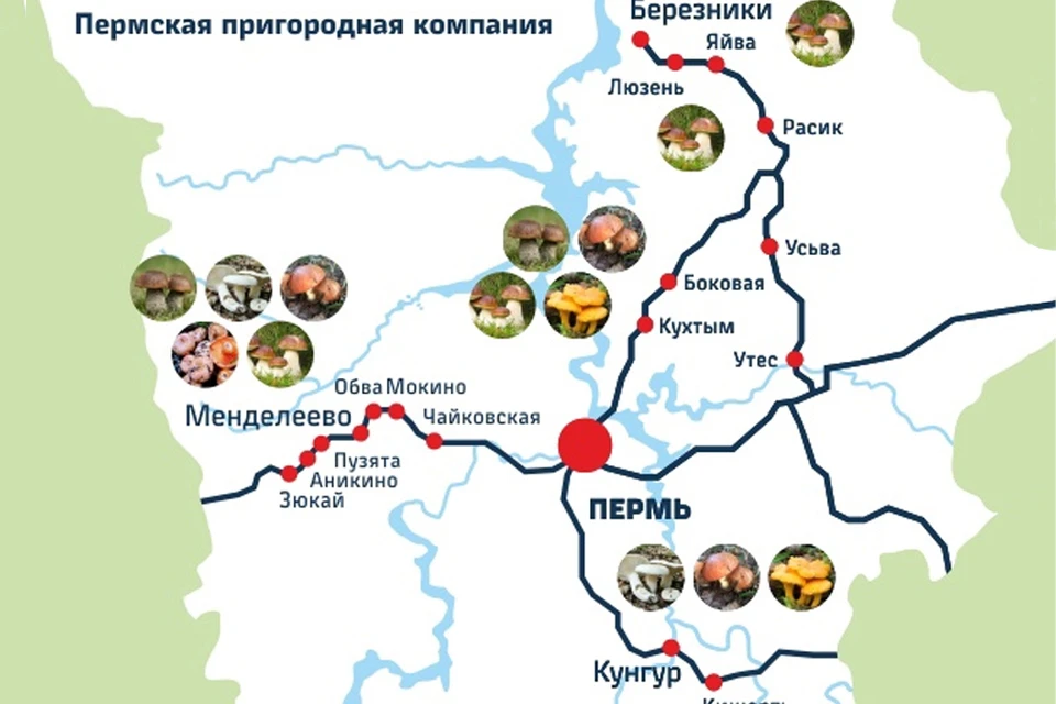 Фото: Пермская пригородная компания