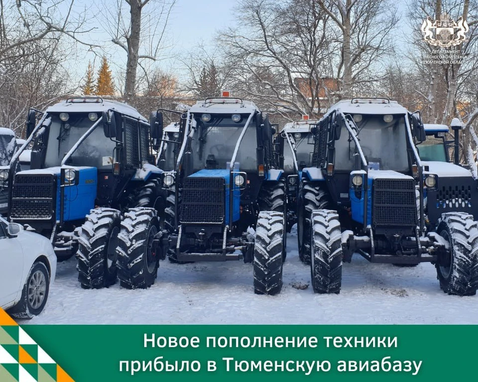 Фото: Департамент лесного комплекса Тюменской области.