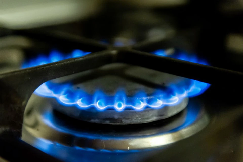 Садоводческие товарищества Рыбинска могут принять участие в программе догазицикации.