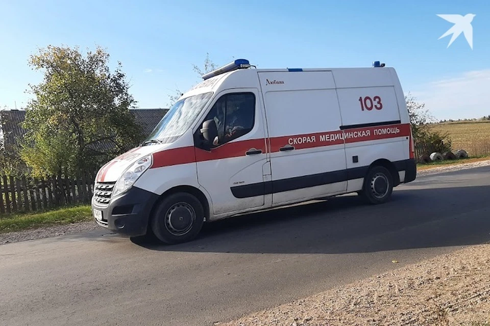 Мужчина на даче в Могилевском районе получил ожоги, поджигая кротовьи норы. Фото используется в качестве иллюстрации: архив «КП».