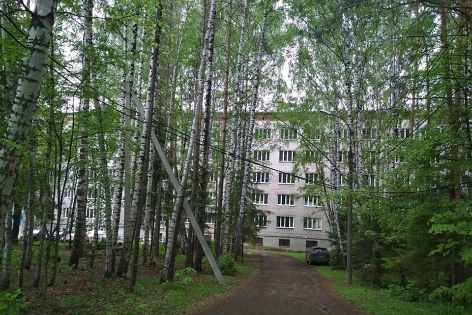 Все они подведомственны Минздраву. Фото: vk.com/rktb_mz