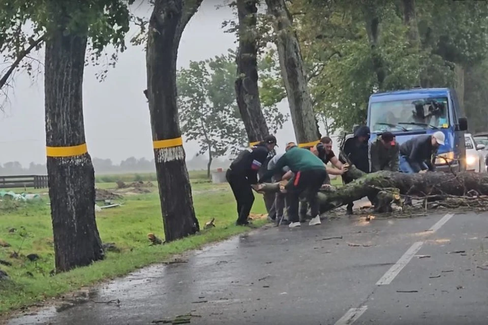 Общими усилиями путь был расчищен.