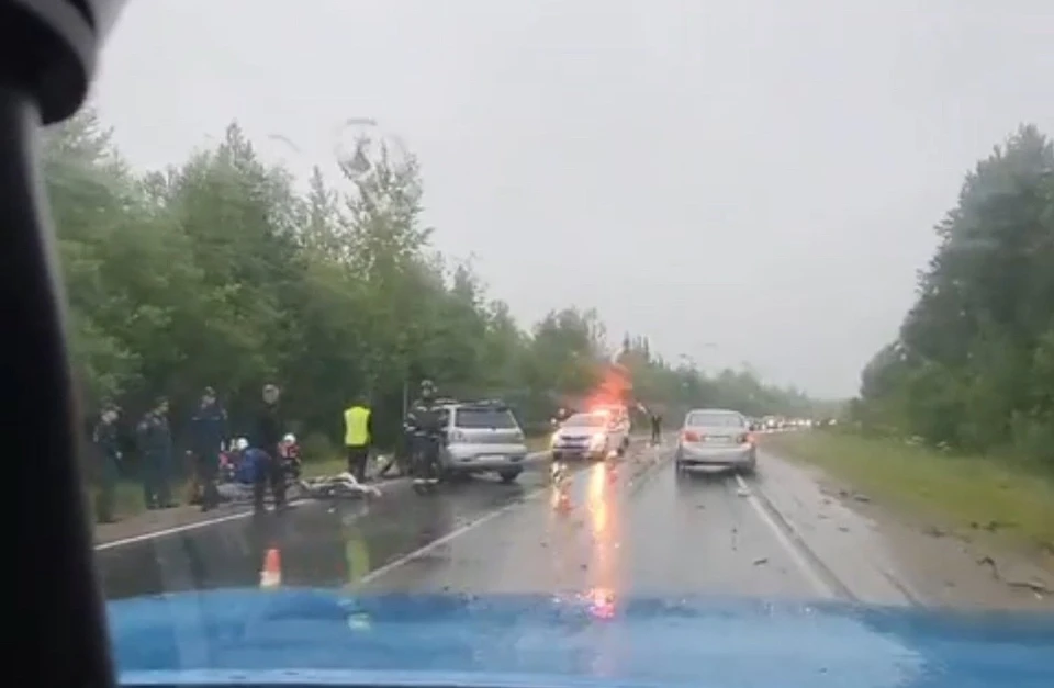 Фото: скрин видео Вячеслава Михайлевского