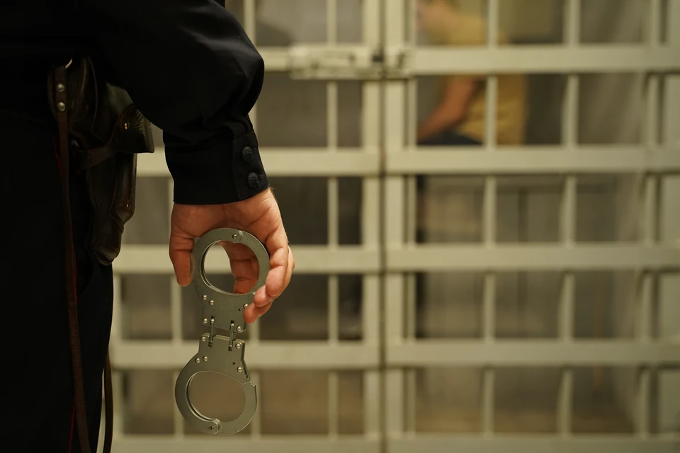 Суд арестовал сына миллионера Мусы Бажаева за нападение на полицейского