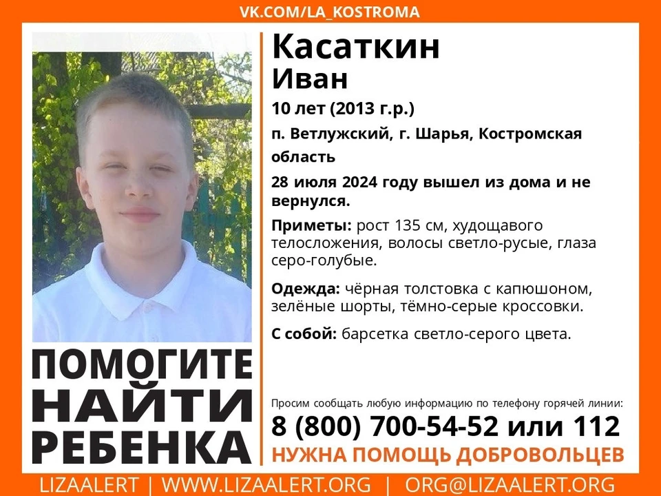 Фото: ДПСО "Лиза Алерт" Костромской области