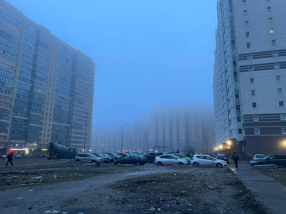 В Тюменской области ночью и утром 31 июля ожидается туман с ухудшением видимости.