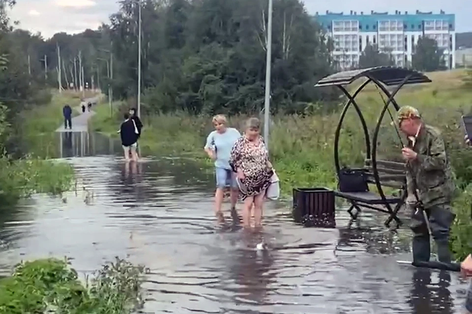 Фото: Владислав Рейнеров