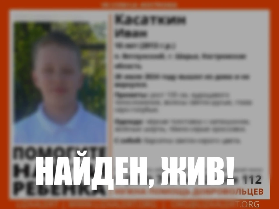 Фото: ДПСО "Лиза Алерт" Костромской области