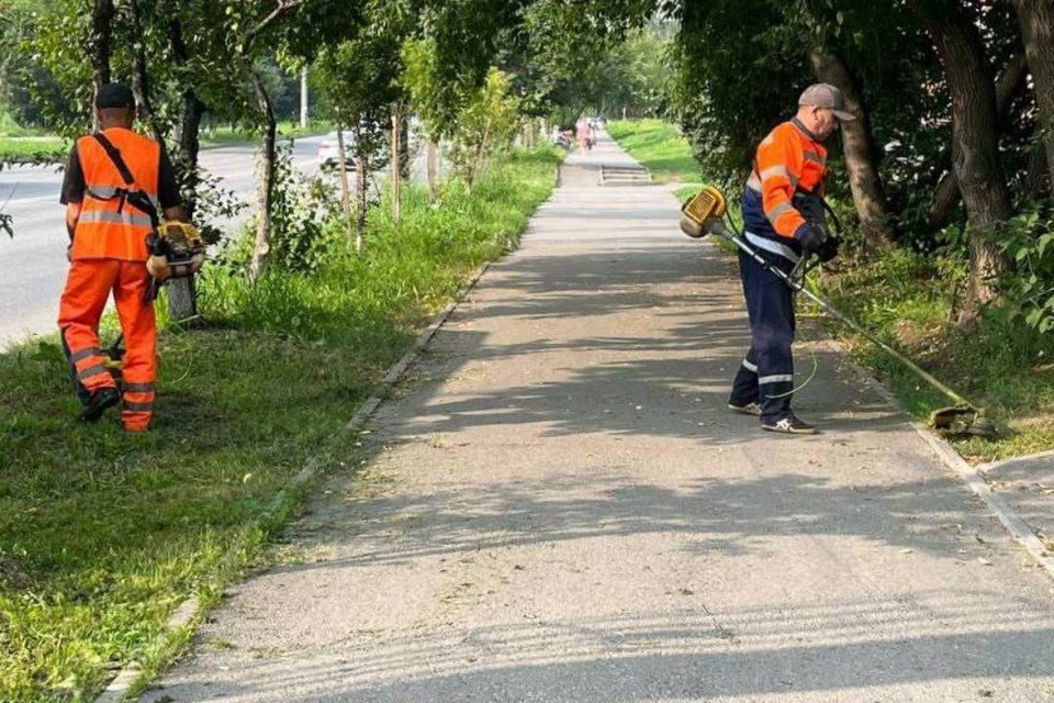 Покос травы продолжается во всех районах Иркутска