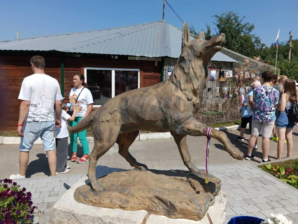 Собака спасла жизни нашим бойцам, предупредив о летящем дроне