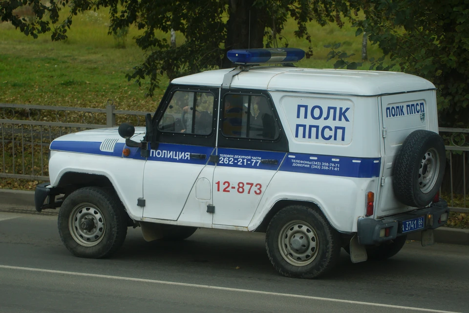 Полицейские задержали и обезвредили дебоширов