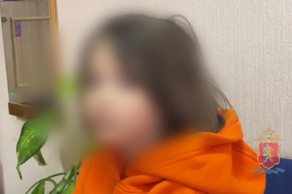 Скриншот: видео МВД по Красноярскому краю
