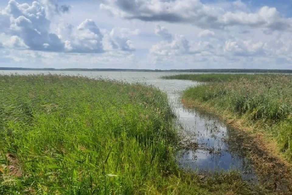 Трагедия произошла на озере Большое Кабанье. Фото: СУ СКР по Курганской области