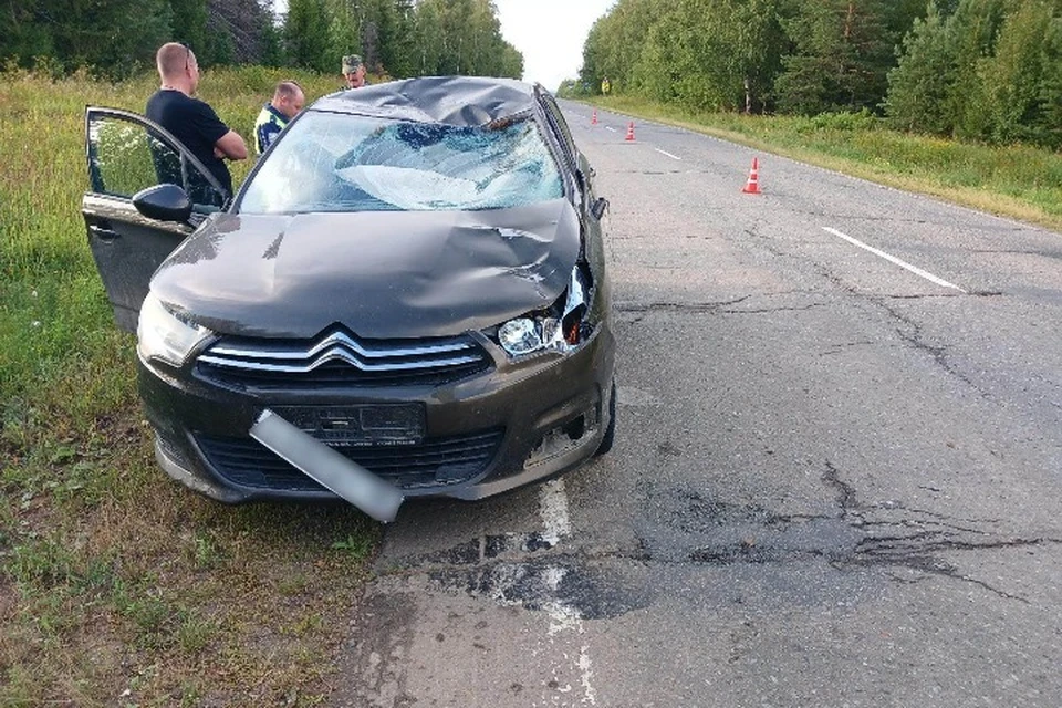 Пострадавших увезли в больницу. Фото: Госавтоинспекция Удмуртии