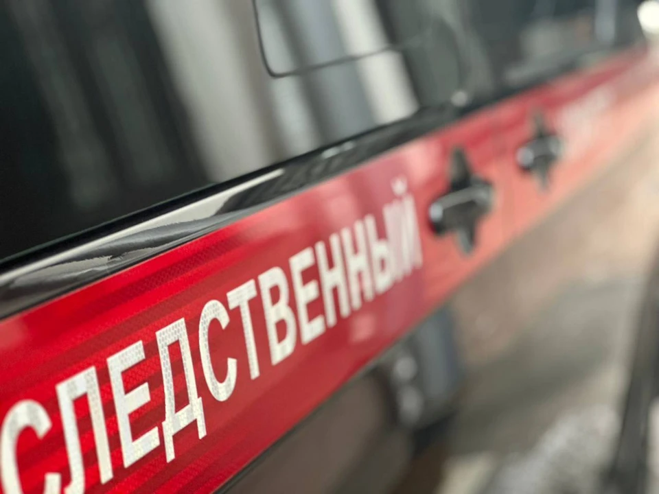 Фото: пресс-служба Следственного комитета