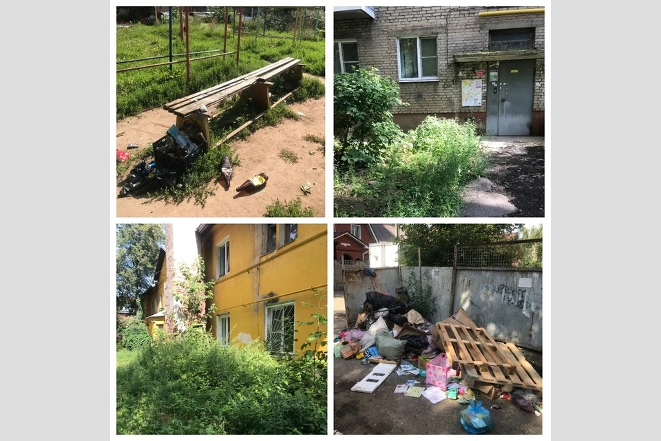 Предостережения пяти УК в Рязани из-за зарослей и мусора во дворах выдаст ГЖИ.