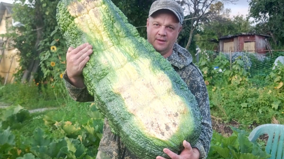 Mast qiz bilan jinsiy aloqa