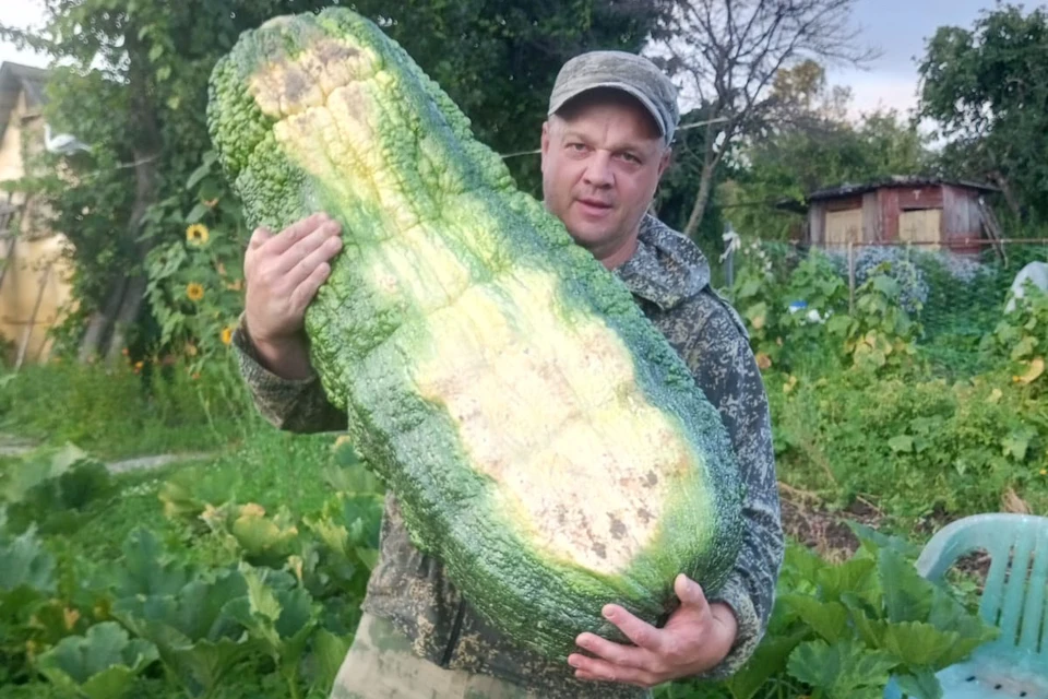 Надежды Андрея Гусева (на фото) на новый рекорд по кабачкам рухнули из-за ливней