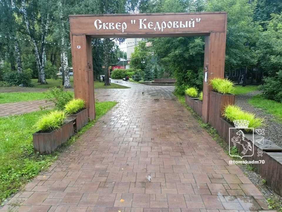 фото: мэрия Томска