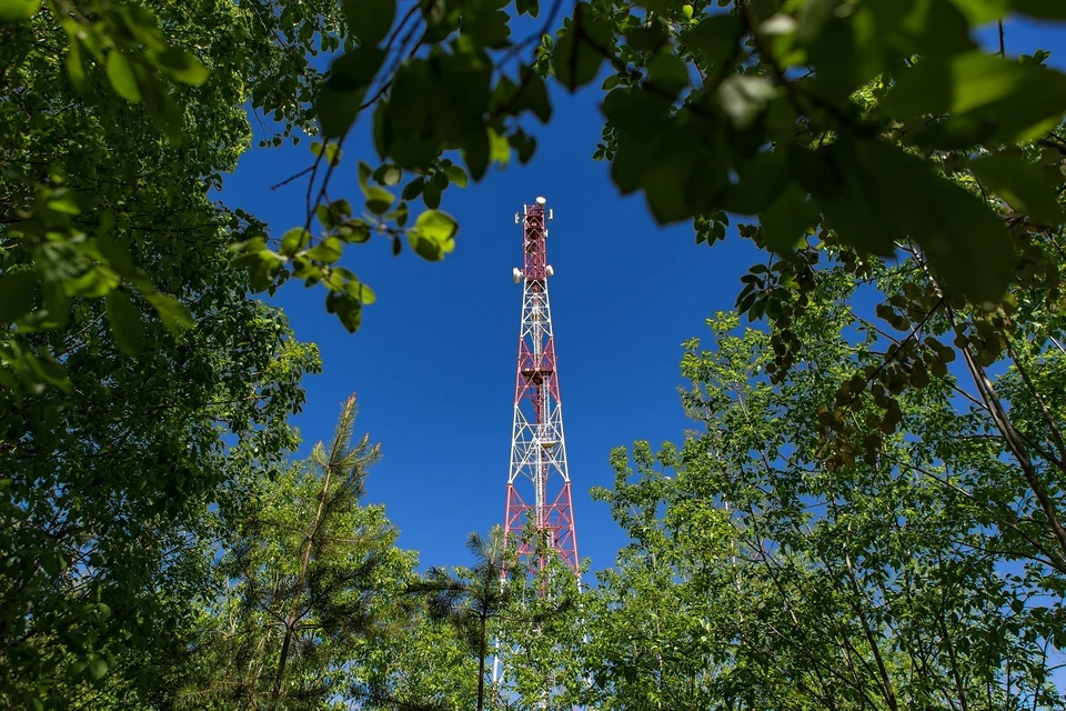 Фото: МегаФон.