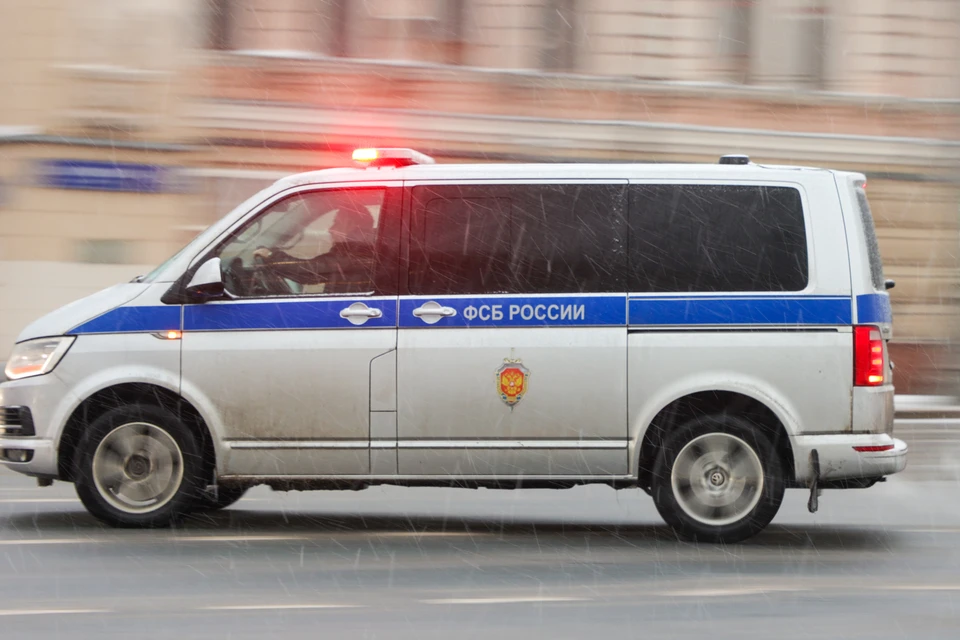 CNN: журналист Уолш приехал в Курскую область после приглашения Киева
