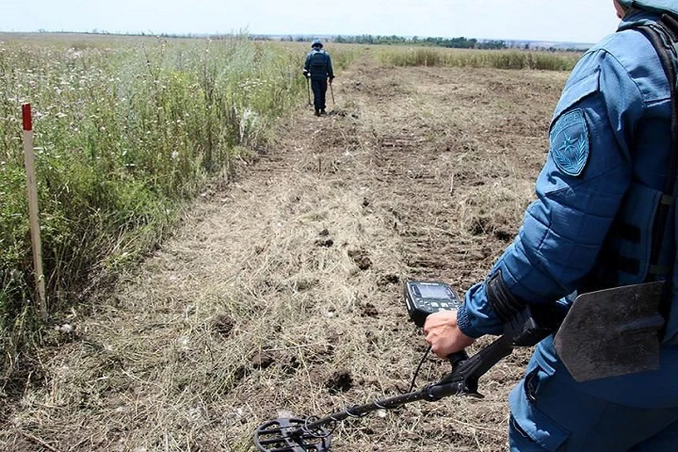 В ДНР саперы МЧС разминировали свыше 700 гектаров с начала 2024 года. Фото (архив): МЧС России по ДНР