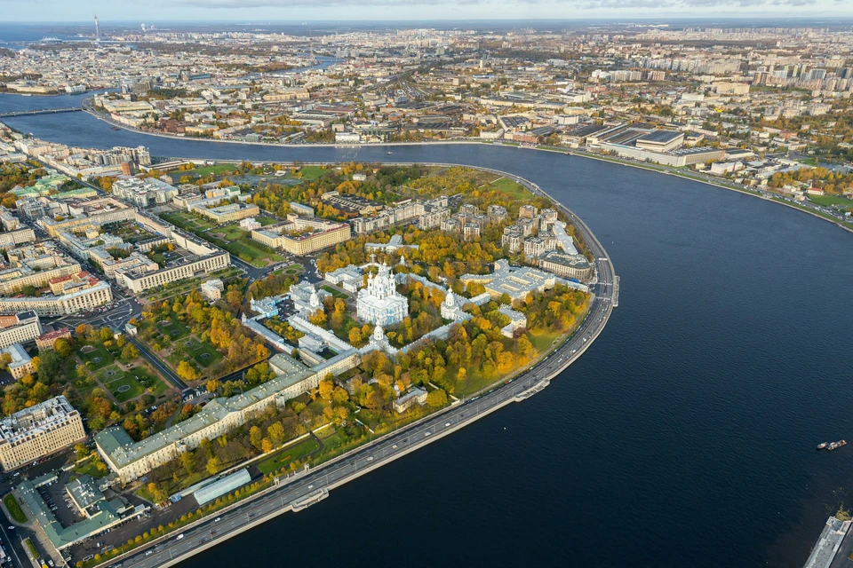 На Крестовском острове в Петербурге на мужчину упало дерево