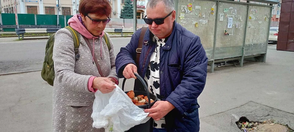 Подосиновиков в лесах много, надо только знать, где их искать.