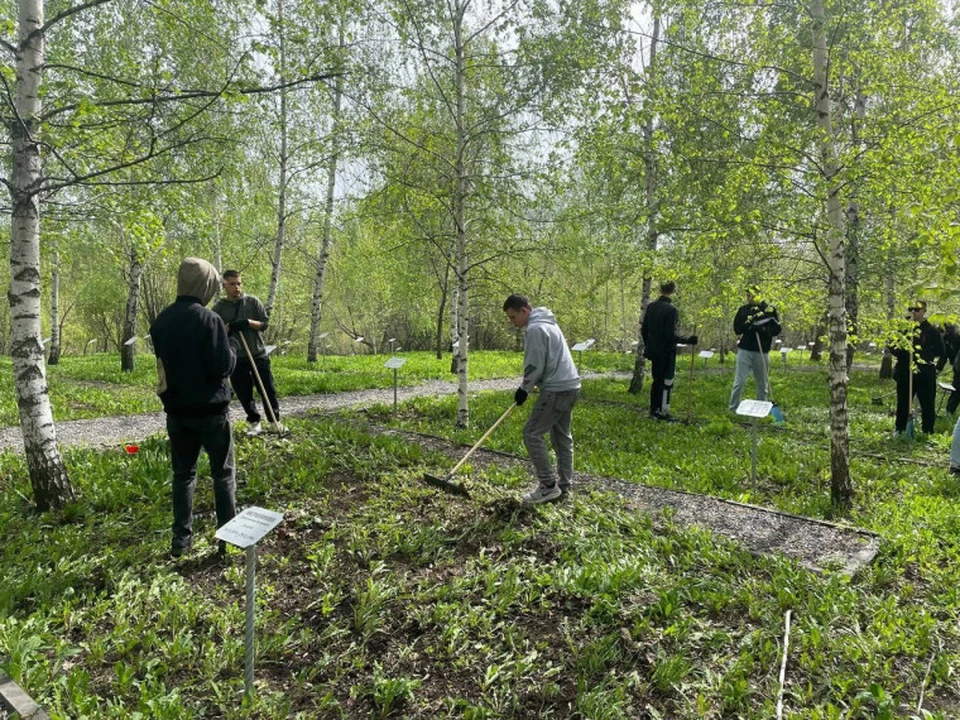 Осеннее благоустройство продлится в Ульяновске до 29 октября. Фото администрация Ульяновска