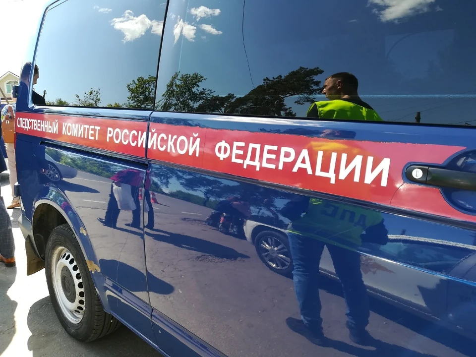 В отношении несовершеннолетней возбуждено уголовное дело, следователи собирают доказательства ее вины.