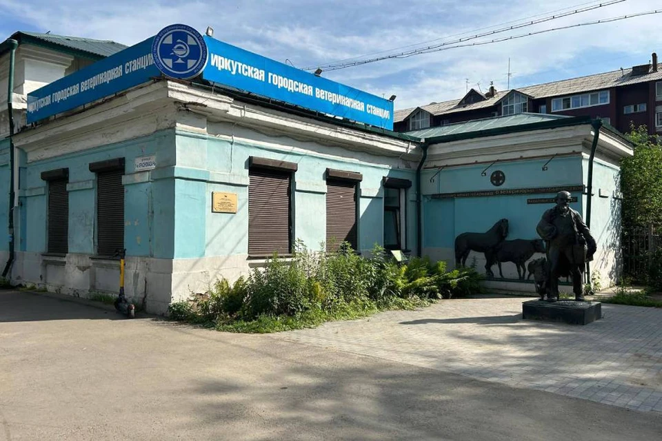 254 скотомогильника уничтожили в Иркутской области за восемь лет