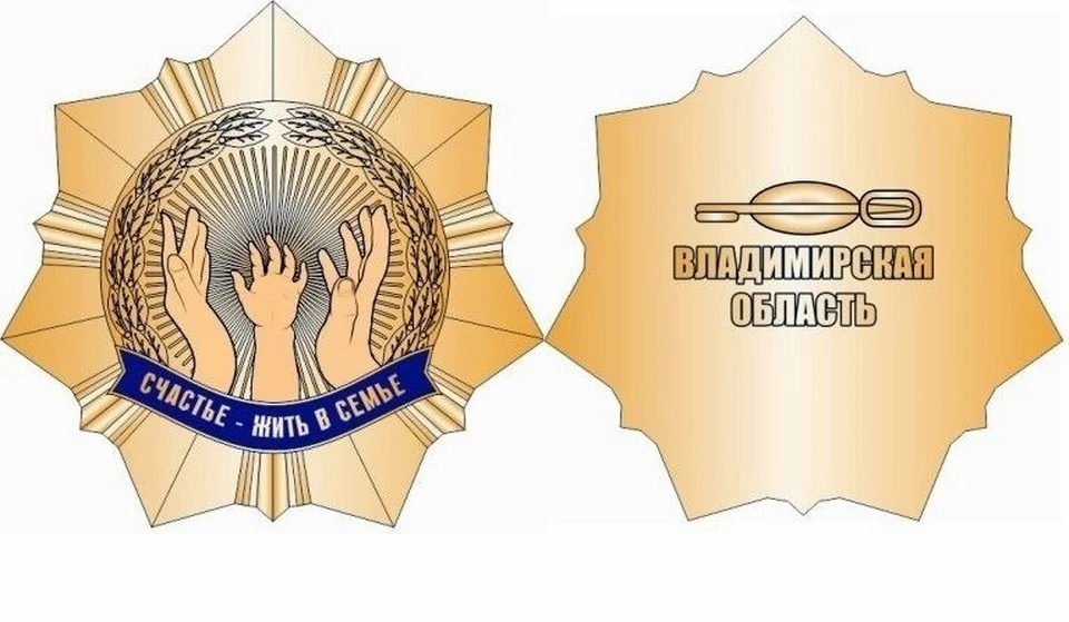 Почетный знак. Фото: Правительство Владимирской области