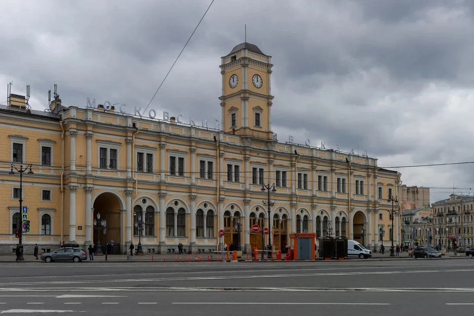 Мальчика с синяками и укусами увезли с Московского вокзала к психиатрам.