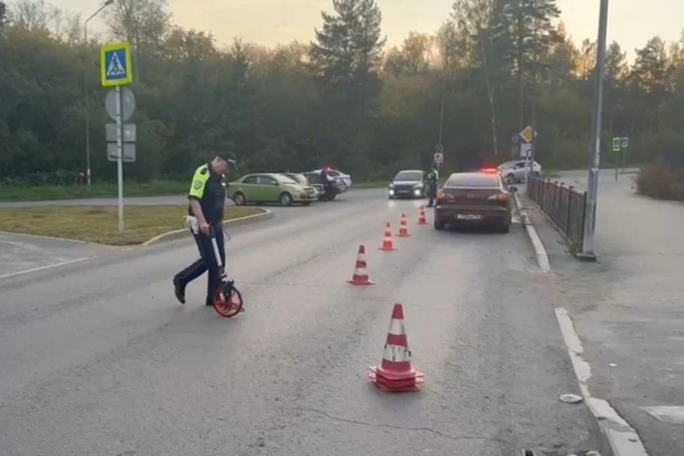 Фото: отдел пропаганды Госавтоинспекции Екатеринбурга