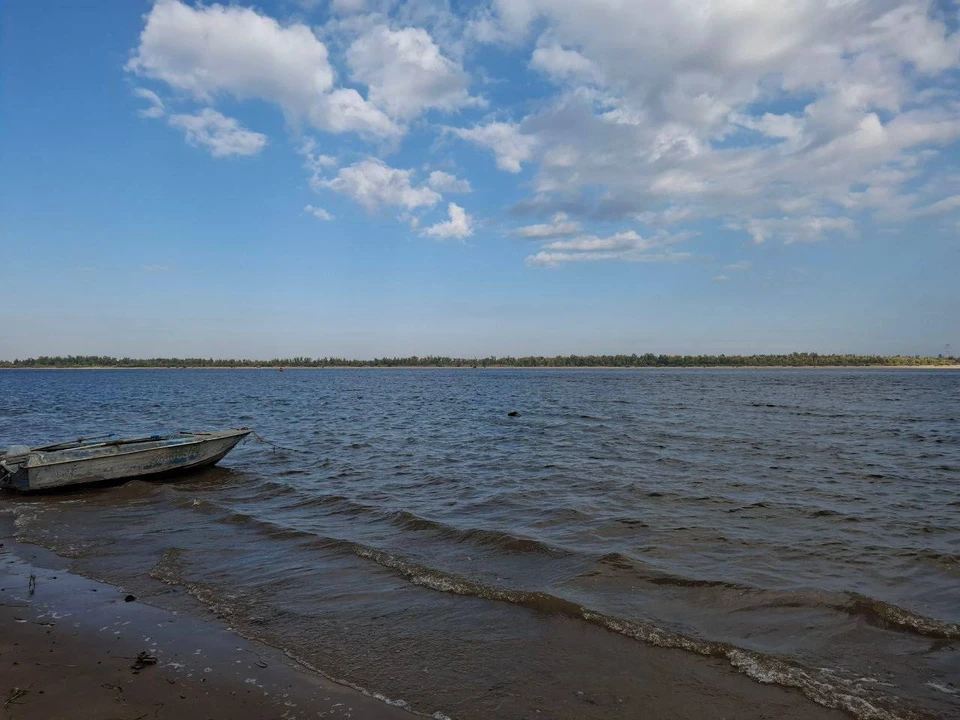 Фото: СУ СК по Саратовской области