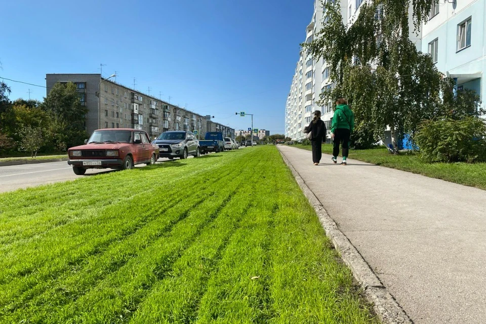 Новый газон положили на улице Динамовцев в Новосибирске. Фото: Мэрия Новосибирска