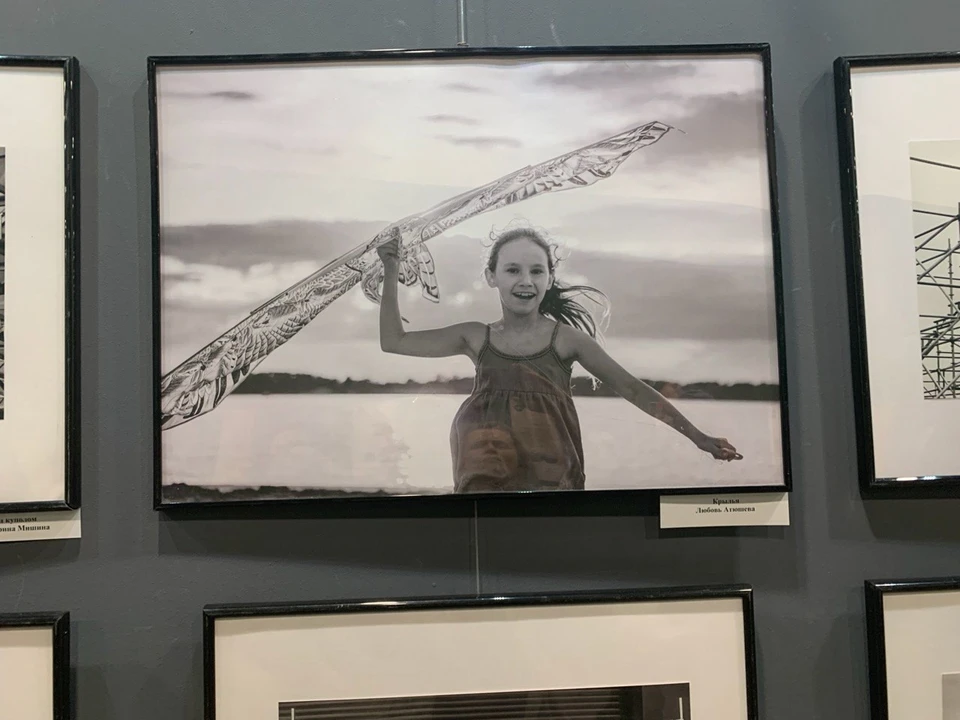 На выставке представлены 140 работ самарских фотографов. Фото: Самарское областное отделение Союза журналистов России.