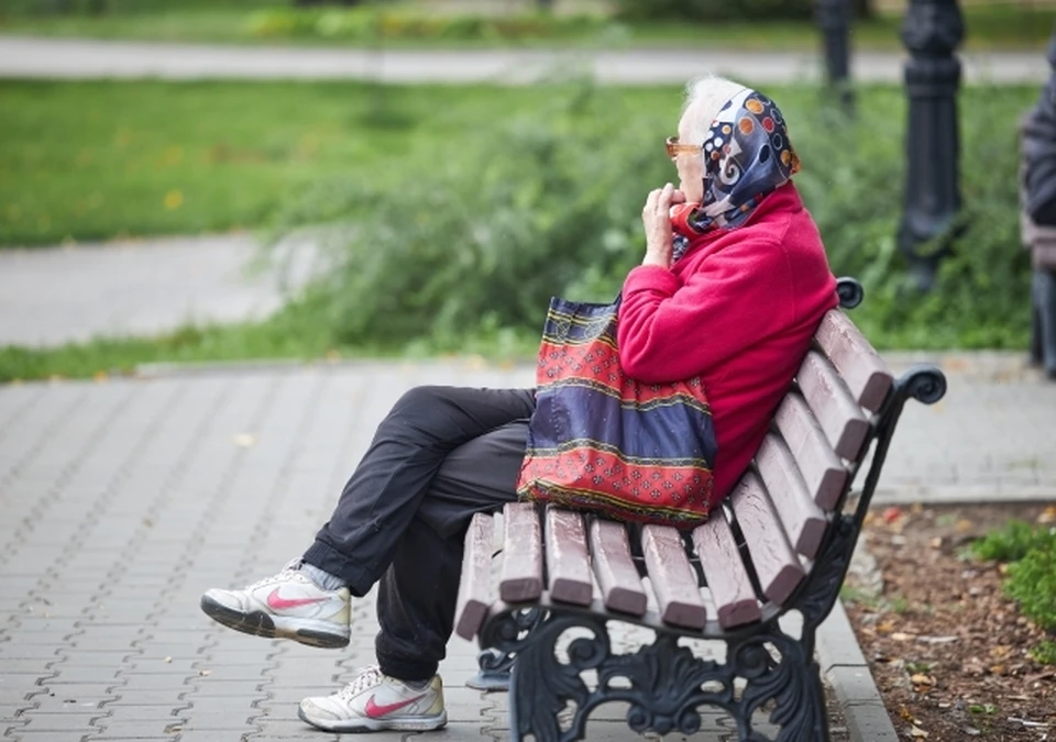 Посетить парк сможет каждый желающий