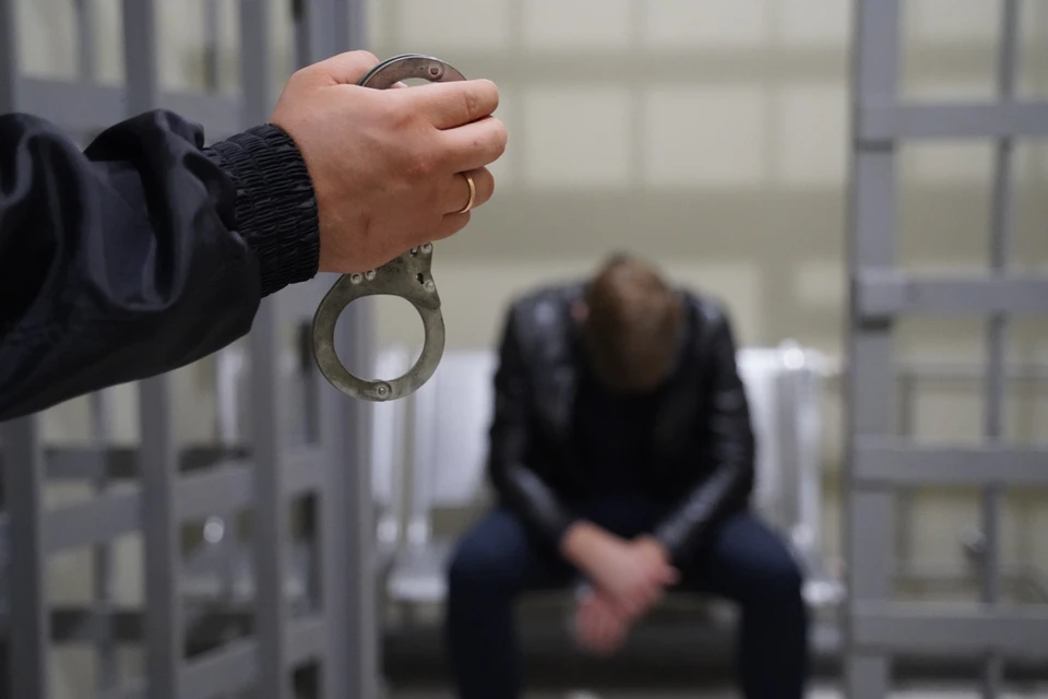 В Ульяновске двоих мужчин обвинили в грабеже и избиении полицейских