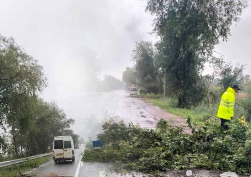 Дорожные службы оперативно расчищают завалы. Фото: коллаж КП