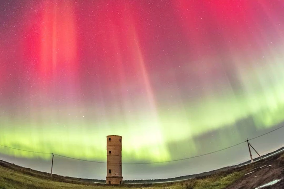 Северное сияние в Ломоносовском районе Ленобласти. Фото: t.me/astrophotoboloto